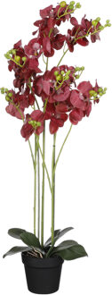 Mica Decorations Orchidee bloem kunstplant - rood - H90 x B30 cm