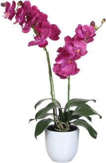Mica Decorations Orchidee bloem kunstplant - roze - H66 x B38 cm