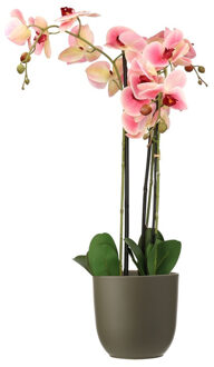 Mica Decorations Orchidee kunstplant roze - 75 cm - inclusief bloempot olijfgroen mat - Kunstplanten