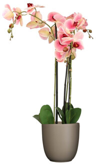 Mica Decorations Orchidee kunstplant roze - 75 cm - inclusief bloempot taupe mat - Kunstplanten