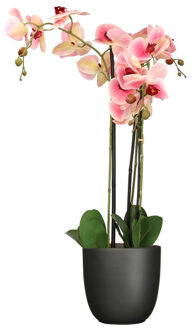 Mica Decorations Orchidee kunstplant roze - 75 cm - inclusief bloempot titanium grijs glans - Kunstplanten