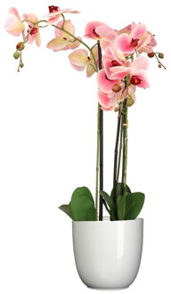 Mica Decorations Orchidee kunstplant roze - 75 cm - inclusief bloempot wit glans