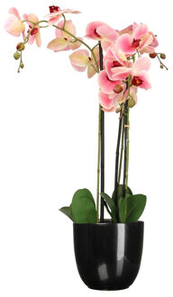 Mica Decorations Orchidee kunstplant roze - 75 cm - inclusief bloempot zwart glans - Kunstplanten