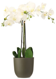 Mica Decorations Orchidee kunstplant wit - 75 cm - inclusief bloempot olijfgroen mat