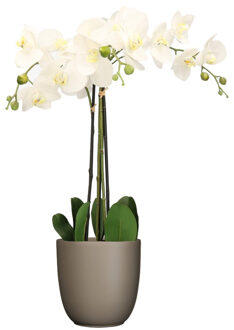 Mica Decorations Orchidee kunstplant wit - 75 cm - inclusief bloempot taupe mat - Kunstplanten