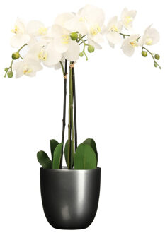 Mica Decorations Orchidee kunstplant wit - 75 cm - inclusief bloempot titanium grijs glans - Kunstplanten