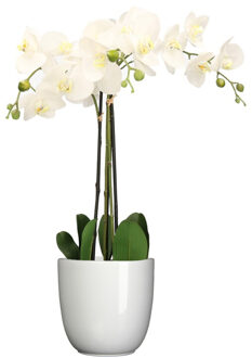 Mica Decorations Orchidee kunstplant wit - 75 cm - inclusief bloempot wit glans - Kunstplanten