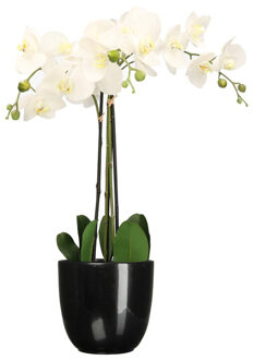 Mica Decorations Orchidee kunstplant wit - 75 cm - inclusief bloempot zwart glans - Kunstplanten