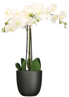 Mica Decorations Orchidee kunstplant wit - 75 cm - inclusief bloempot zwart mat