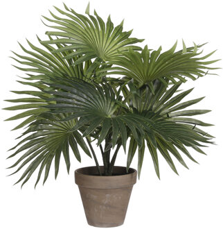 Mica Decorations Palm kunstplant - groen - H30 x D35 cm