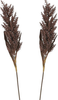 Mica Decorations Pampasgras pluim losse steel/tak - 2x - bruin - 88 cm - Decoratie kunst graspluimen