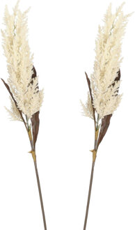 Mica Decorations Pampasgras pluim losse steel/tak - 2x - creme wit - 88 cm - Decoratie kunst graspluimen