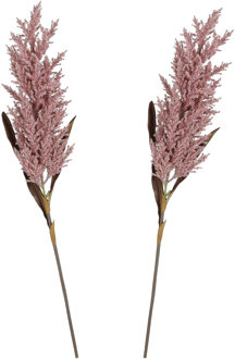 Mica Decorations Pampasgras pluim losse steel/tak - 2x - oudroze - 88 cm - Decoratie kunst graspluimen