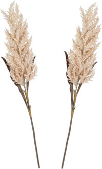 Mica Decorations Pampasgras pluim losse steel/tak - 2x - perzik roze - 88 cm - Decoratie kunst graspluimen