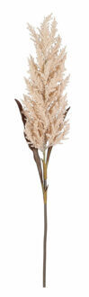 Mica Decorations Pampasgras pluim losse steel / tak - lichtroze - 88 cm - Decoratie kunst graspluimen