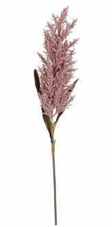 Mica Decorations Pampasgras pluim losse steel/tak - oudroze - 88 cm - Decoratie kunst graspluimen