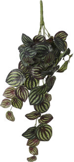 Mica Decorations Peperomia kunstplant - hangplant - 58 x 14 cm - Kamer/kantoor planten Groen