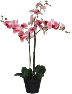 Mica Decorations phalaenopsis in plastic pot roze maat in cm: 75 x 51