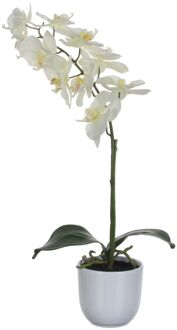 Mica Decorations Phalaenopsis Kunstplant - 16x16x60 Cm - Wit