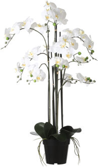 Mica Decorations Phalaenopsis Kunstplant - H97 x Ø19 cm - Pot - Crème