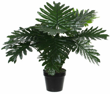 Mica Decorations Philondendron kunstplant - 60 cm - groen - onderhoudsarm - inclusief pot