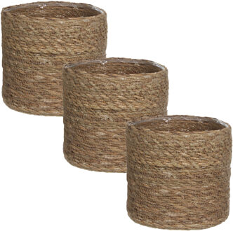 Mica Decorations Plantenmand - 3x stuks - naturel bruin - rotan - 16 cm