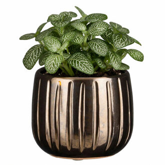 Mica Decorations Plantenpot - brons - glans ribbel - D14 x H12 cm