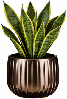 Mica Decorations Plantenpot - brons - glans ribbel - D16 x H14 cm