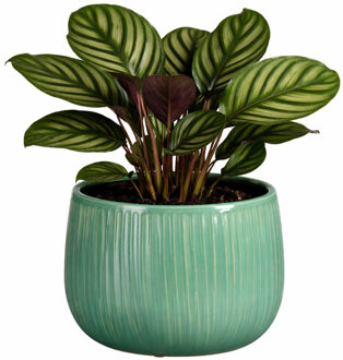 Mica Decorations Plantenpot - groen - glans ribbel - D21 x H19 cm