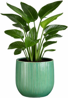 Mica Decorations Plantenpot - groen - glans ribbel - D29 x H25 cm