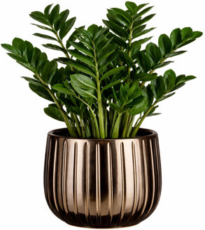 Mica Decorations Plantenpot - keramiek - brons glans / ribbels - D18 x H16 cm - bloempot Pablo