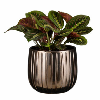 Mica Decorations Plantenpot - keramiek - brons glans / ribbels - D21 x H19 cm - bloempot Pablo