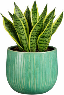 Mica Decorations Plantenpot - keramiek - groen glans / ribbels - D18 x H16 cm - bloempot Pablo