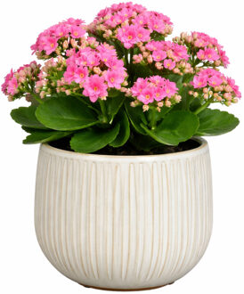 Mica Decorations Plantenpot - keramiek - wit glans / ribbels - D14 x H12 cm - bloempot Pablo