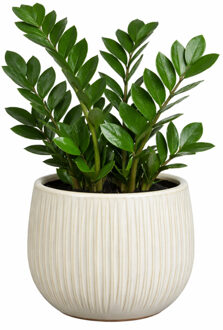 Mica Decorations Plantenpot - wit - glans ribbel - D16 x H14 cm