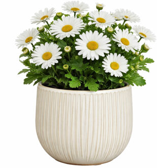 Mica Decorations Plantenpot - wit - glans ribbel - D18 x H16 cm