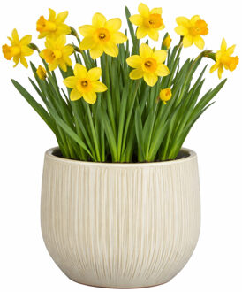 Mica Decorations Plantenpot - wit - glans ribbel - D24 x H22 cm