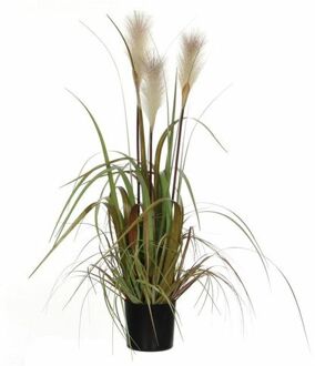 Mica Decorations pluimgras foxtail wit in pot maat in cm: 81 x 45