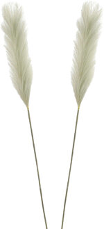 Mica Decorations Pluimgras losse steel/tak - 2x - salie groen - 104 cm - Decoratie kunst pluimen