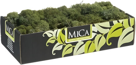 Mica Decorations Rendiermos - 500 gram - donkergroen - hobby mos