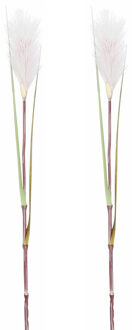 Mica Decorations Rietgras/pluimgras kunstplant losse steel - 2x stuks - takken - roze/witte pluim - 72 cm