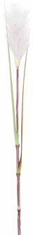 Mica Decorations Rietgras/pluimgras kunstplant losse steel - takken - roze/witte pluim - 72 cm Creme