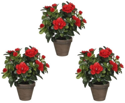 Mica Decorations Set van 3x stuks groene Azalea kunstplanten rode bloemen 27 cm in pot stan grey - Kunstplanten/nepplanten