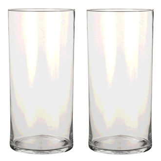 Mica Decorations Vaas - 2x - cilinder - helder glas - D19 x H40 cm - Bloemenvaas