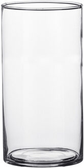 Mica Decorations Vaas - cilinder - helder glas - D9 x H15 cm - Bloemenvaas