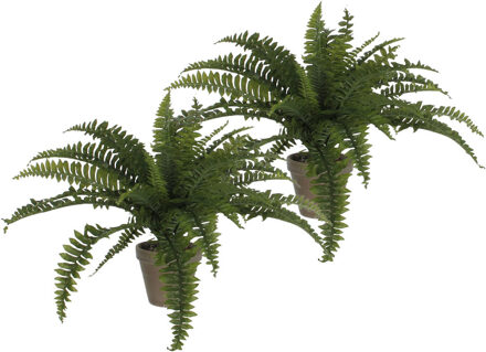 Mica Decorations Varen kunstplant - 2x - groen - 45 x 70 cm - Kamerplant