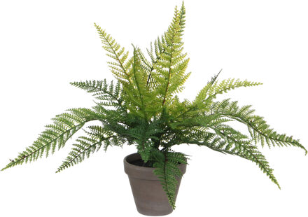 Mica Decorations Varen kunstplant/kamerplant groen H40 cm x D36 cm