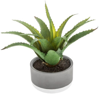 Mica Decorations vetplant kunstplant - in pot van cement - H22 cm - Nepplanten - pot van 11 x 7 cm