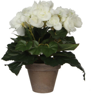 Mica Decorations Witte Begonia kunstplant 25 cm in grijze pot