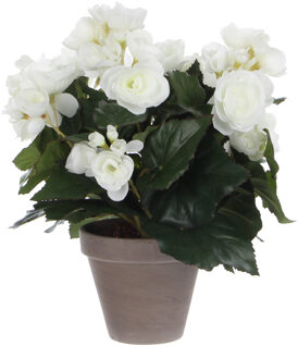 Mica Decorations Witte Begonia kunstplant 30 cm in grijze pot